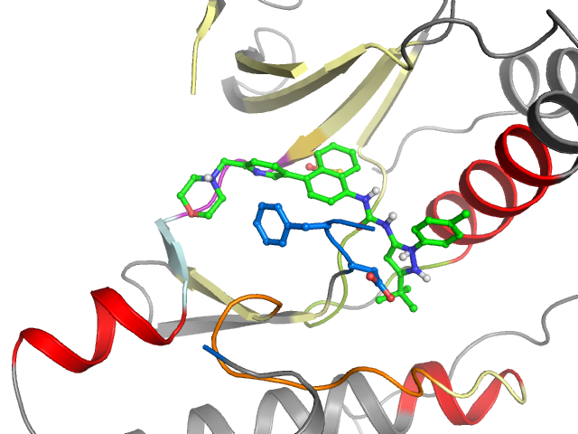 The orthosteric binding pocket