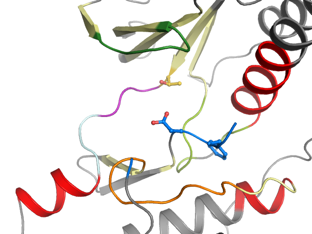 The orthosteric binding pocket
