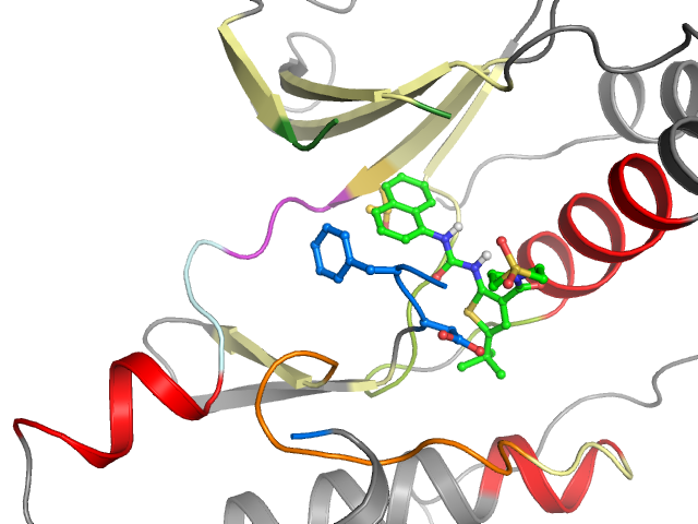 The orthosteric binding pocket