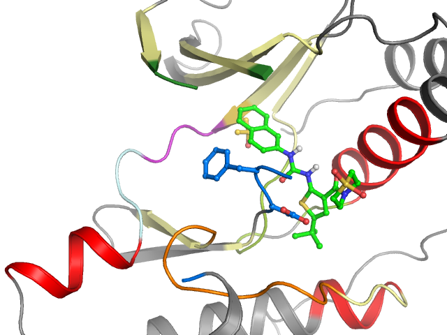 The orthosteric binding pocket