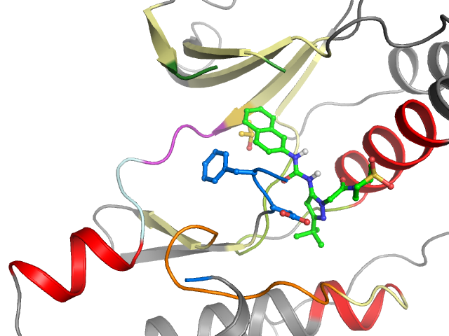 The orthosteric binding pocket