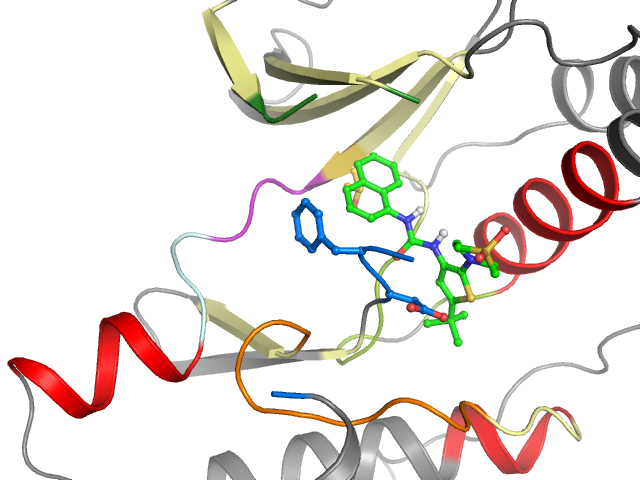 The orthosteric binding pocket