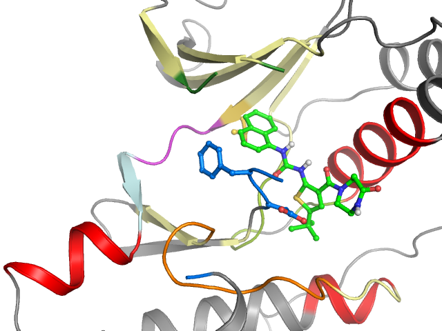 The orthosteric binding pocket