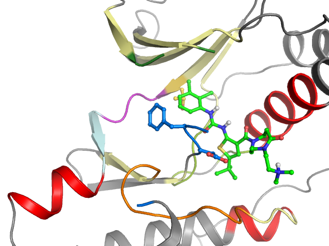 The orthosteric binding pocket