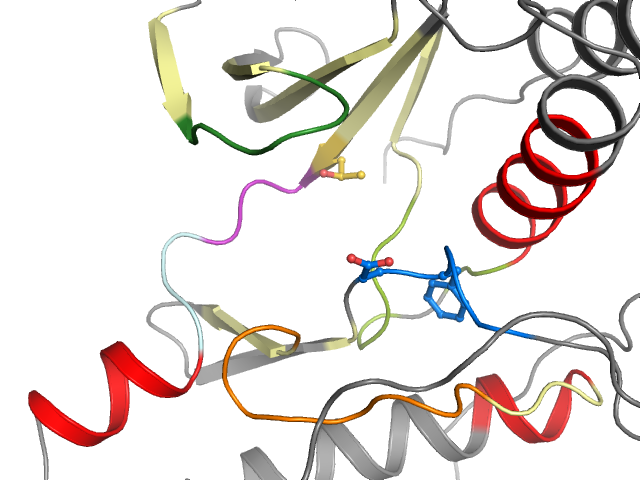 The orthosteric binding pocket