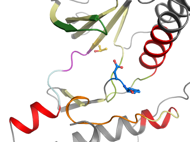 The orthosteric binding pocket