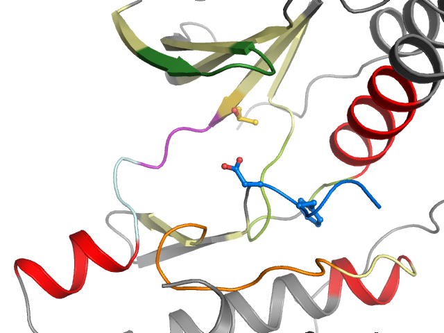 The orthosteric binding pocket
