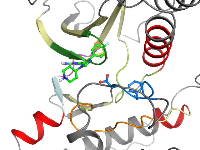 The orthosteric binding pocket