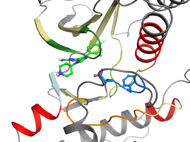 The orthosteric binding pocket