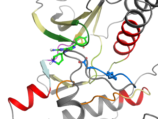 The orthosteric binding pocket