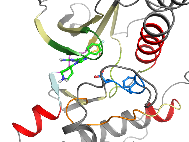 The orthosteric binding pocket