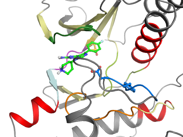 The orthosteric binding pocket