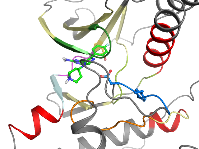 The orthosteric binding pocket