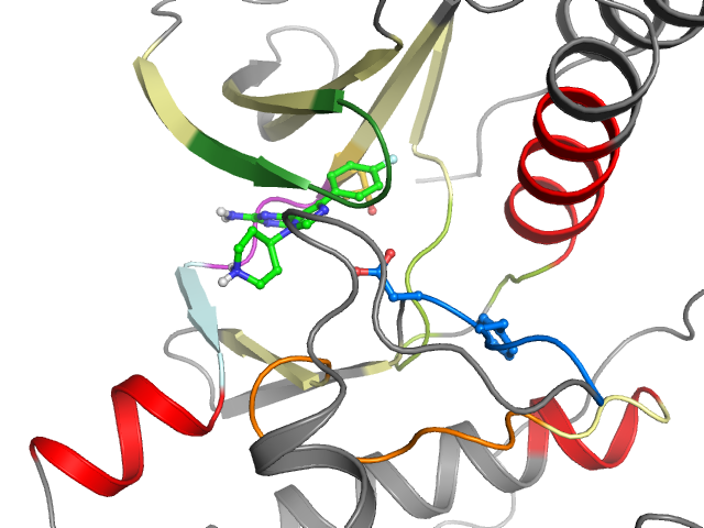 The orthosteric binding pocket