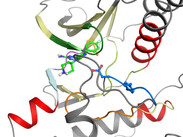 The orthosteric binding pocket