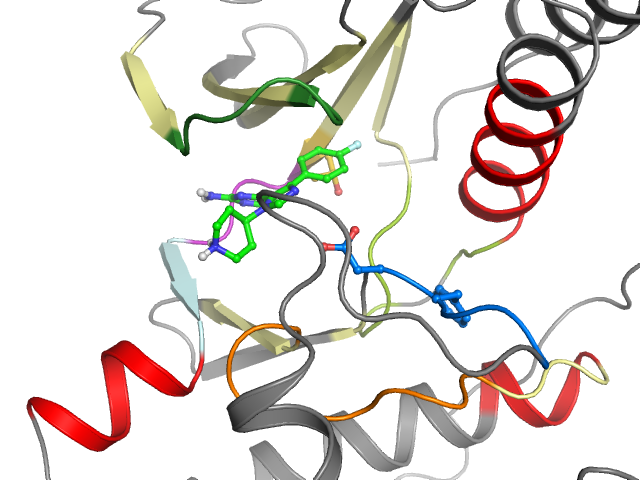The orthosteric binding pocket