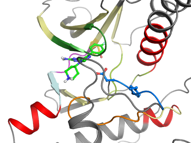 The orthosteric binding pocket