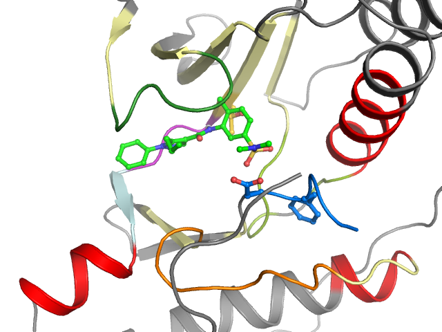 The orthosteric binding pocket