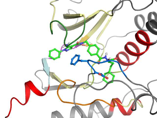 The orthosteric binding pocket