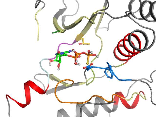 The orthosteric binding pocket