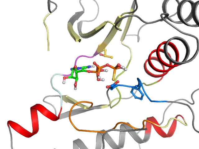The orthosteric binding pocket