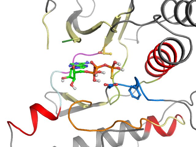 The orthosteric binding pocket