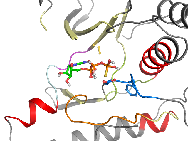 The orthosteric binding pocket