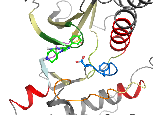 The orthosteric binding pocket