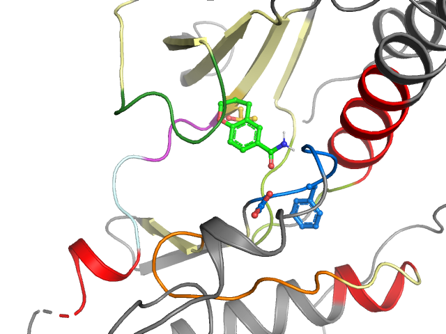 The orthosteric binding pocket
