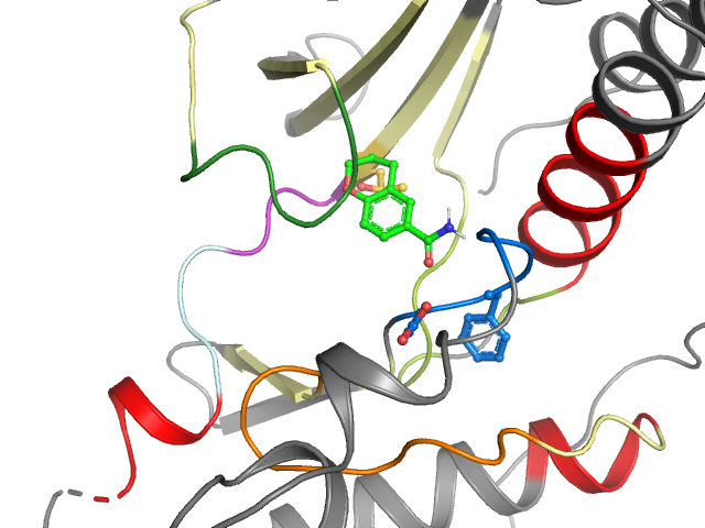 The orthosteric binding pocket