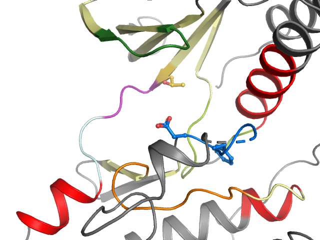The orthosteric binding pocket
