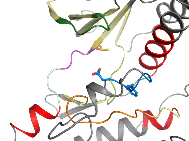 The orthosteric binding pocket