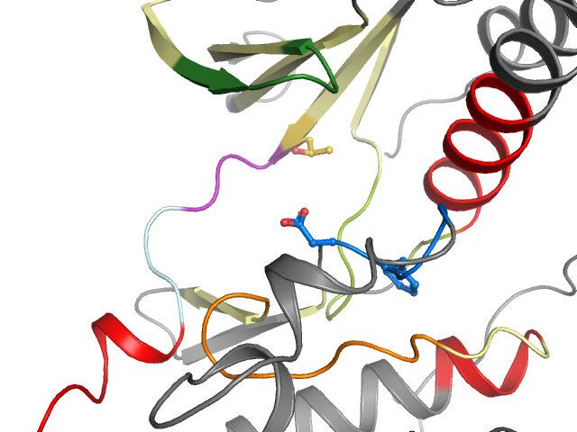 The orthosteric binding pocket