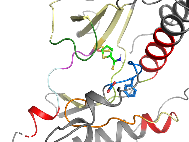 The orthosteric binding pocket