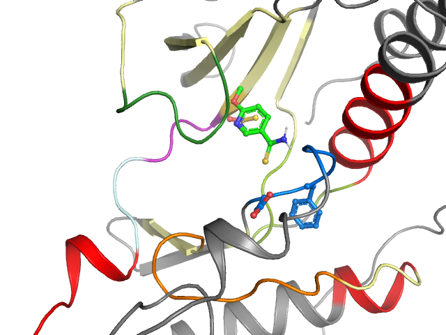 The orthosteric binding pocket