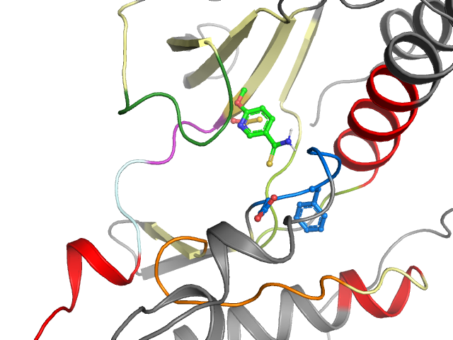 The orthosteric binding pocket