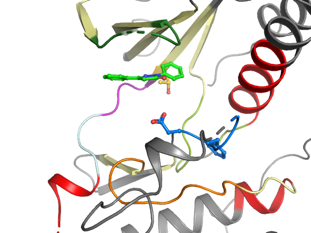 The orthosteric binding pocket
