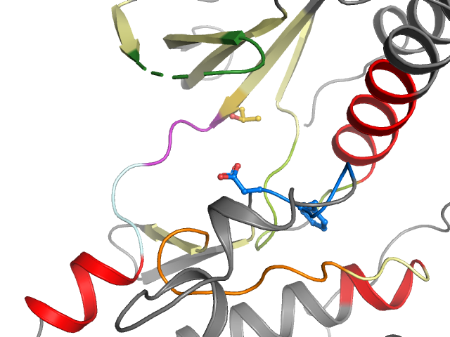 The orthosteric binding pocket