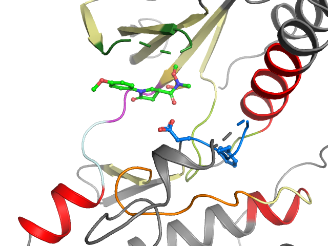 The orthosteric binding pocket