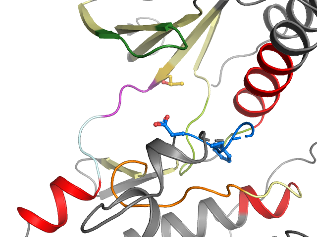 The orthosteric binding pocket