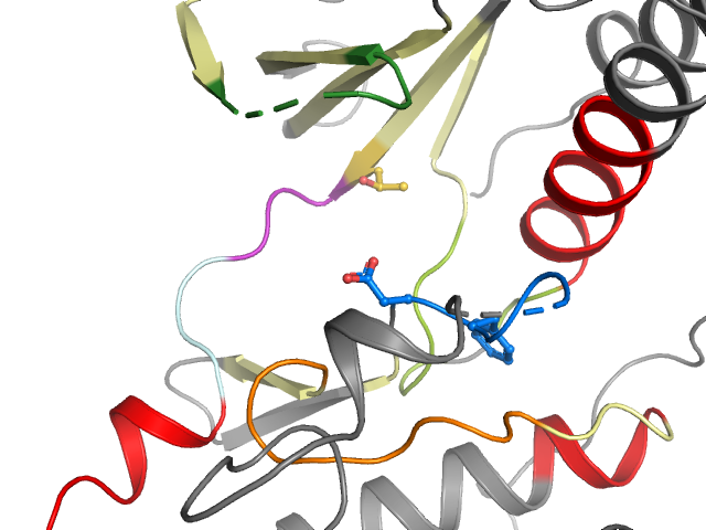 The orthosteric binding pocket