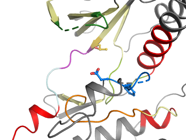 The orthosteric binding pocket