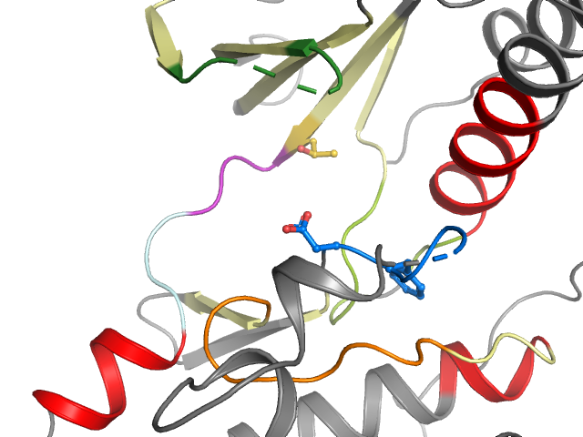 The orthosteric binding pocket