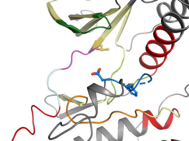The orthosteric binding pocket