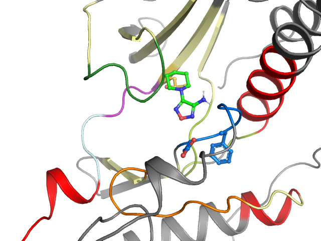 The orthosteric binding pocket
