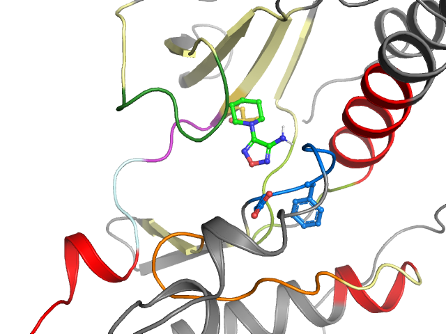 The orthosteric binding pocket