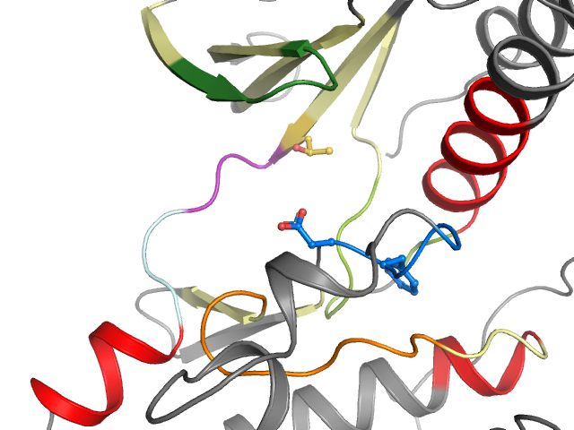 The orthosteric binding pocket