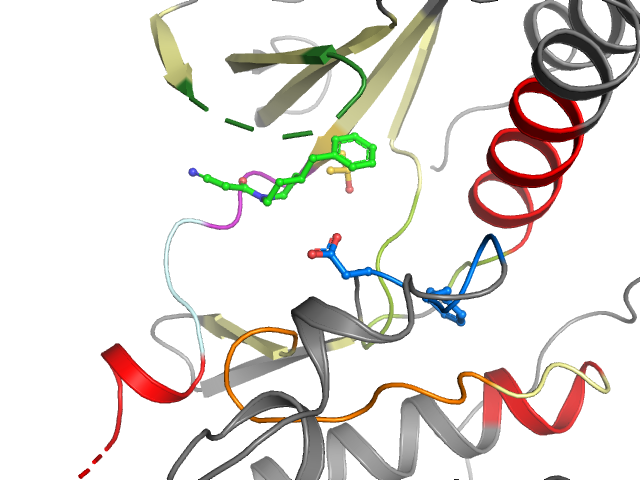 The orthosteric binding pocket