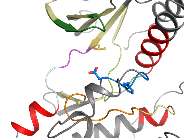 The orthosteric binding pocket