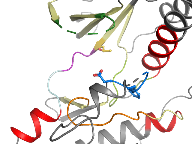 The orthosteric binding pocket